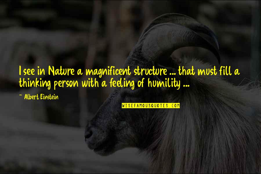 Nature Of A Person Quotes By Albert Einstein: I see in Nature a magnificent structure ...