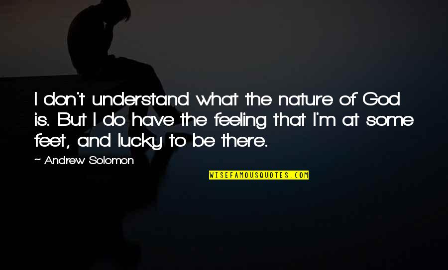 Nature Of God Quotes By Andrew Solomon: I don't understand what the nature of God