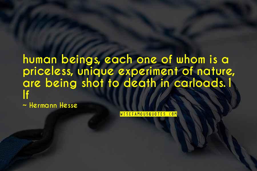 Nature Of Human Being Quotes By Hermann Hesse: human beings, each one of whom is a