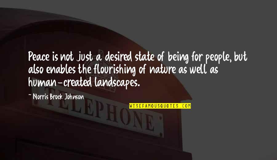 Nature Of Human Being Quotes By Norris Brock Johnson: Peace is not just a desired state of