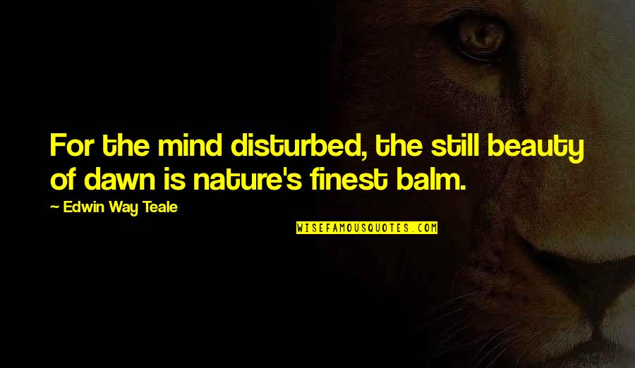 Nature Of Mind Quotes By Edwin Way Teale: For the mind disturbed, the still beauty of