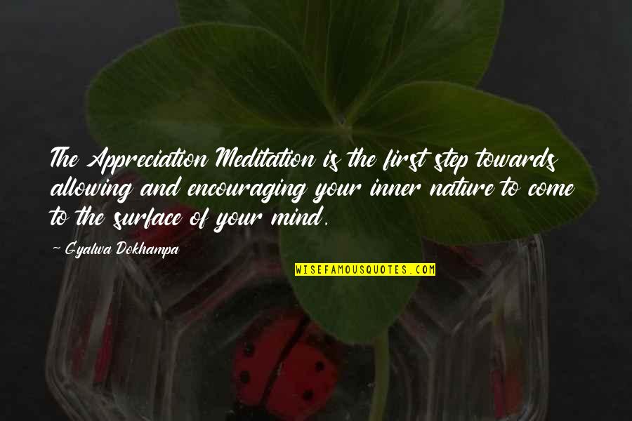 Nature Of Mind Quotes By Gyalwa Dokhampa: The Appreciation Meditation is the first step towards Nature Of Mind Quotes By Gyalwa Dokhampa: The Appreciation Meditation is the first step towards