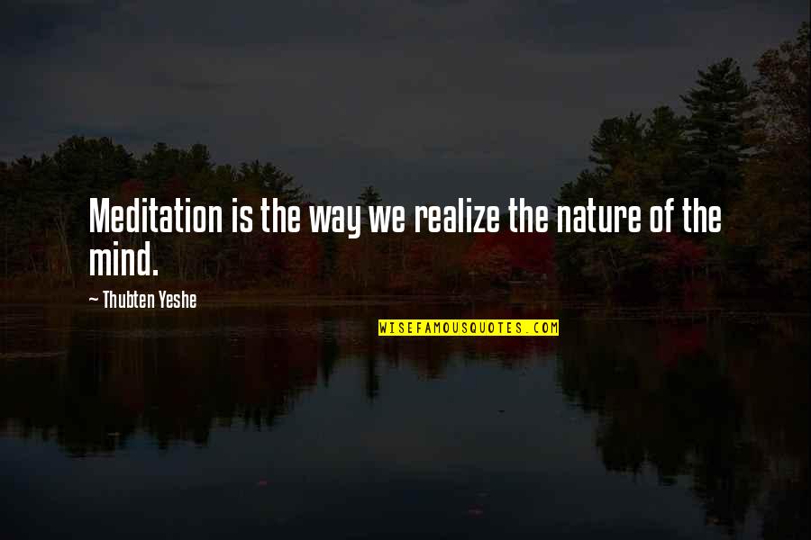 Nature Of Mind Quotes By Thubten Yeshe: Meditation is the way we realize the nature Nature Of Mind Quotes By Thubten Yeshe: Meditation is the way we realize the nature