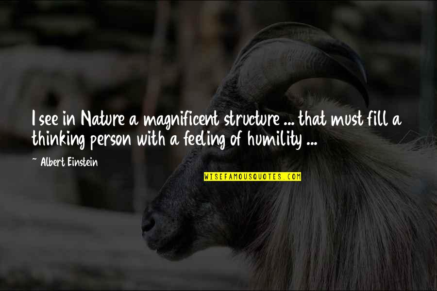 Nature Of Person Quotes By Albert Einstein: I see in Nature a magnificent structure ...