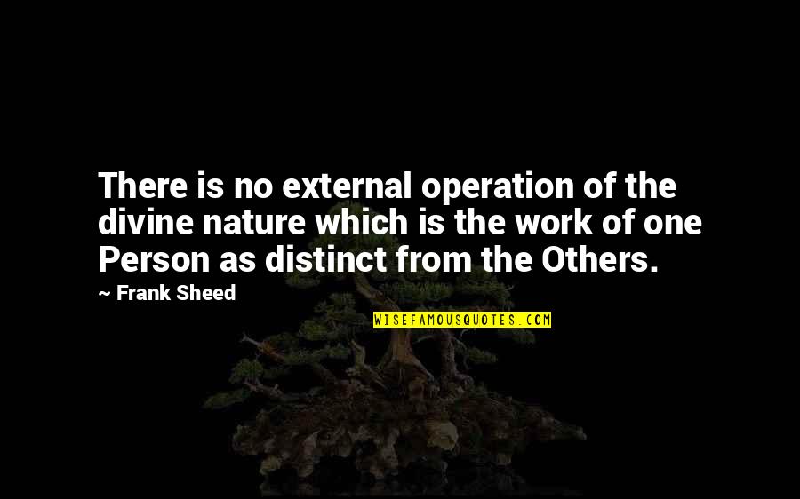 Nature Of Person Quotes By Frank Sheed: There is no external operation of the divine