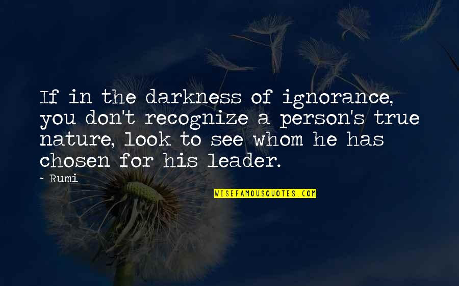 Nature Of Person Quotes By Rumi: If in the darkness of ignorance, you don't