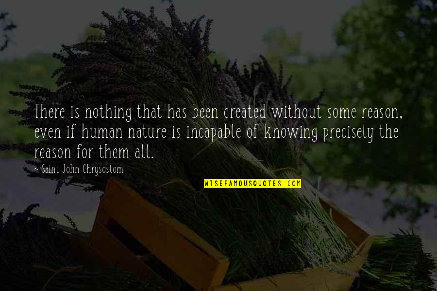 Nature Of Reason Quotes By Saint John Chrysostom: There is nothing that has been created without Nature Of Reason Quotes By Saint John Chrysostom: There is nothing that has been created without