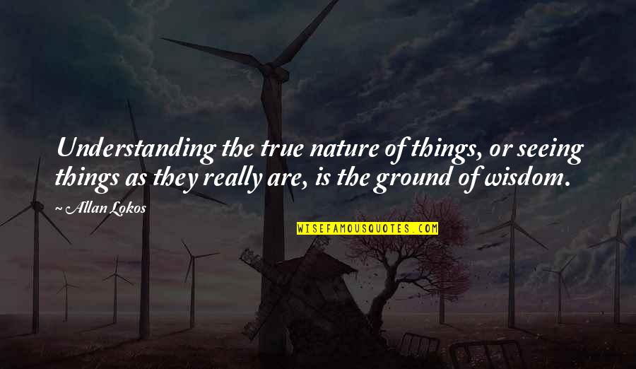 Nature Of Things Quotes By Allan Lokos: Understanding the true nature of things, or seeing