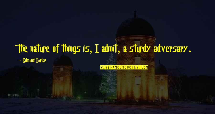 Nature Of Things Quotes By Edmund Burke: The nature of things is, I admit, a