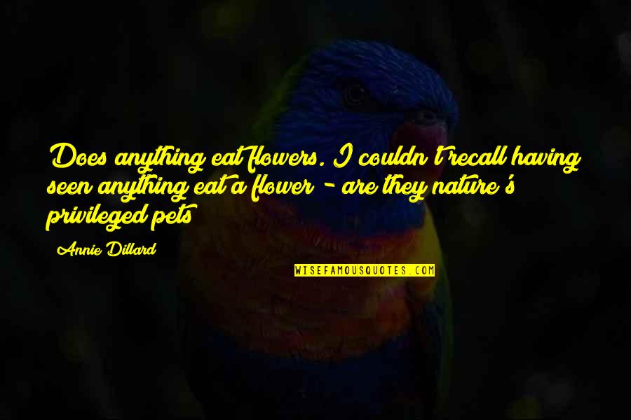 Nature Only Pet Quotes By Annie Dillard: Does anything eat flowers. I couldn't recall having