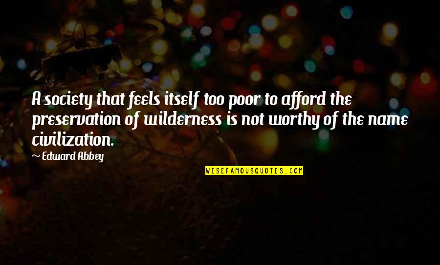 Nature Preservation Quotes By Edward Abbey: A society that feels itself too poor to