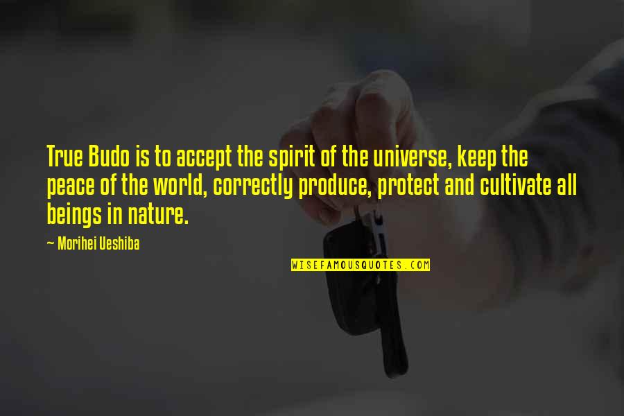 Nature Protect Quotes By Morihei Ueshiba: True Budo is to accept the spirit of