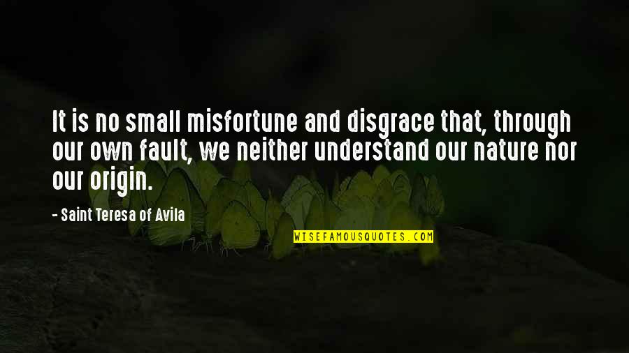 Nature Small Quotes By Saint Teresa Of Avila: It is no small misfortune and disgrace that,
