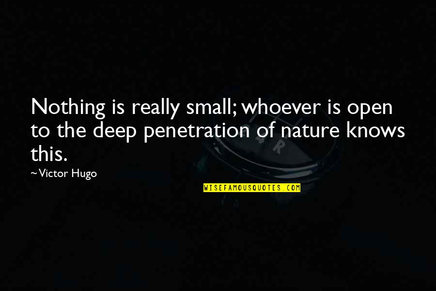 Nature Small Quotes By Victor Hugo: Nothing is really small; whoever is open to
