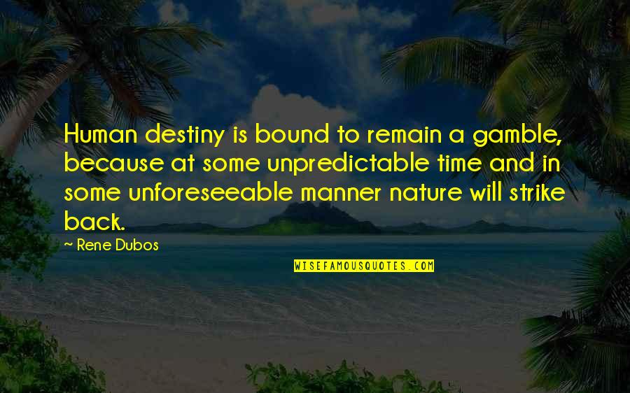 Nature Strikes Back Quotes By Rene Dubos: Human destiny is bound to remain a gamble, Nature Strikes Back Quotes By Rene Dubos: Human destiny is bound to remain a gamble,