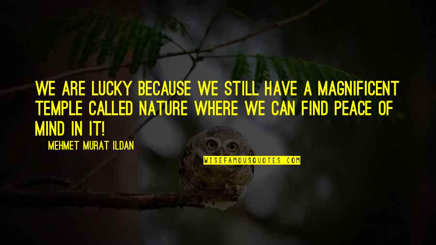 Nature Temple Quotes By Mehmet Murat Ildan: We are lucky because we still have a