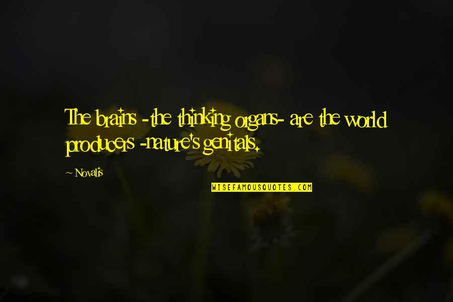 Nature Thinking Quotes By Novalis: The brains -the thinking organs- are the world