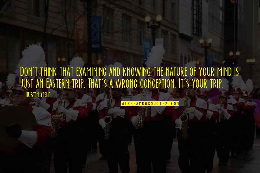 Nature Thinking Quotes By Thubten Yeshe: Don't think that examining and knowing the nature Nature Thinking Quotes By Thubten Yeshe: Don't think that examining and knowing the nature