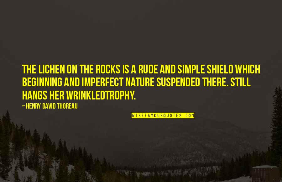 Nature Thoreau Quotes By Henry David Thoreau: The lichen on the rocks is a rude