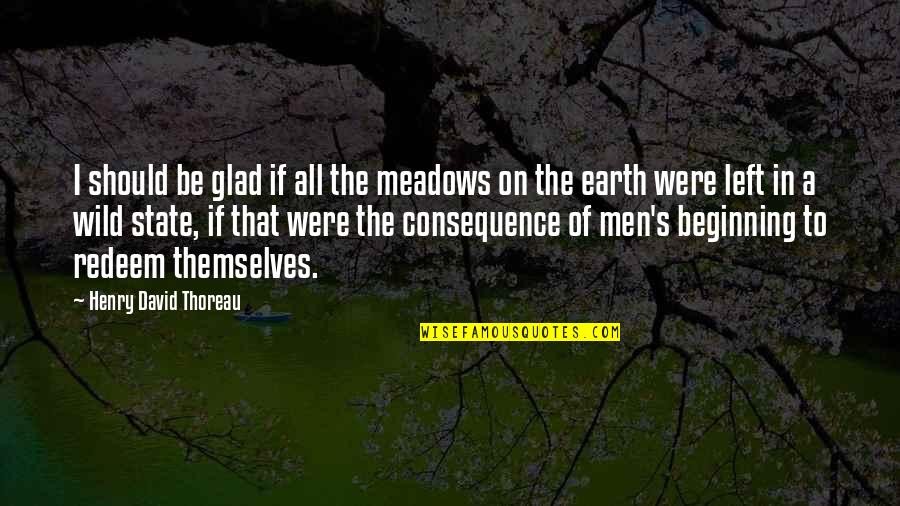 Nature Thoreau Quotes By Henry David Thoreau: I should be glad if all the meadows