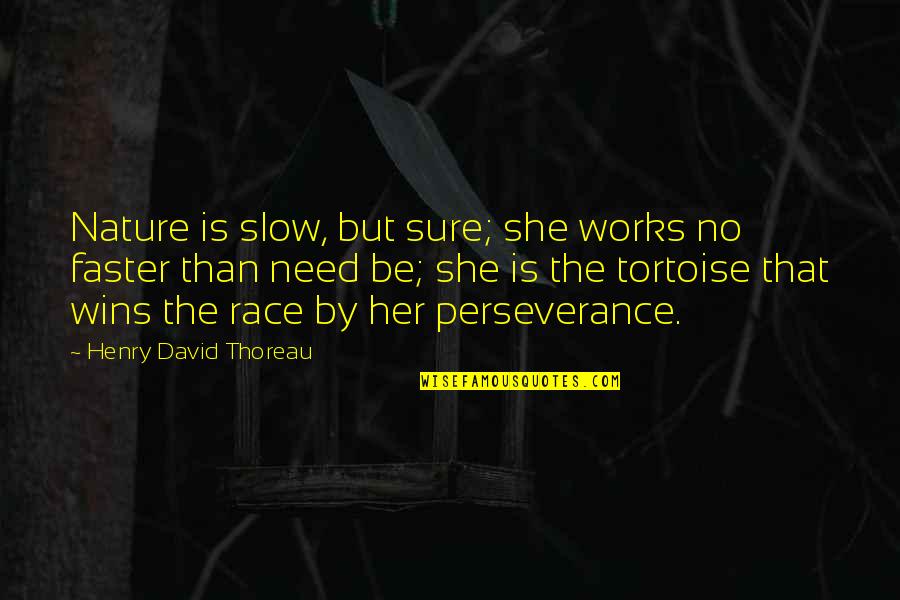 Nature Thoreau Quotes By Henry David Thoreau: Nature is slow, but sure; she works no