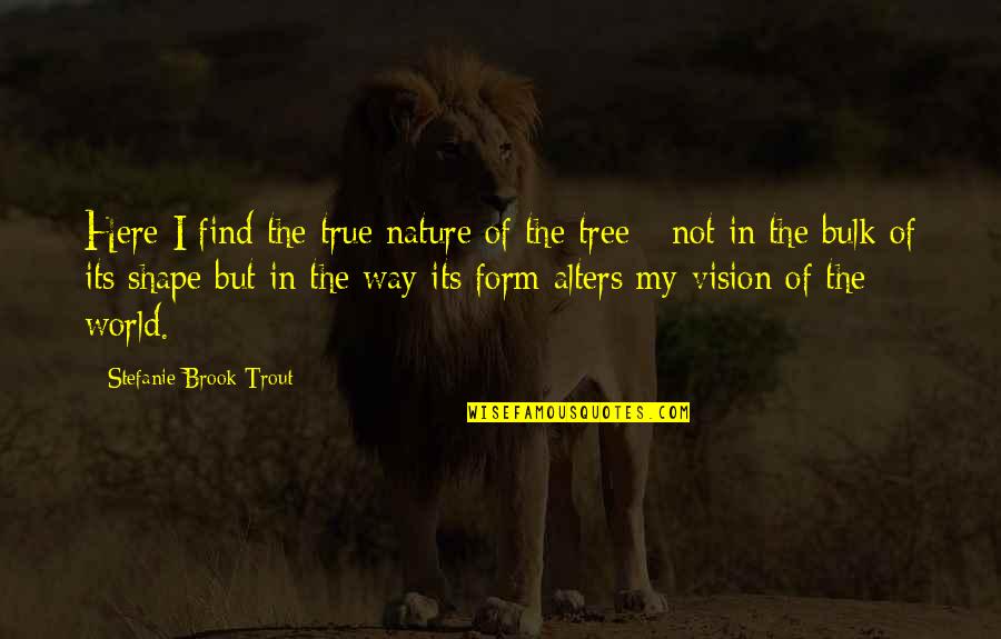 Nature Trees Quotes By Stefanie Brook Trout: Here I find the true nature of the