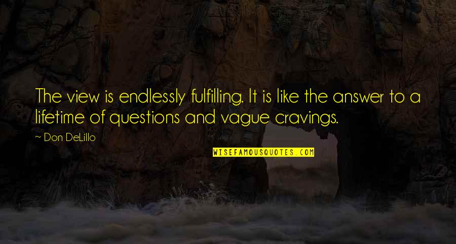 Nature View Quotes By Don DeLillo: The view is endlessly fulfilling. It is like