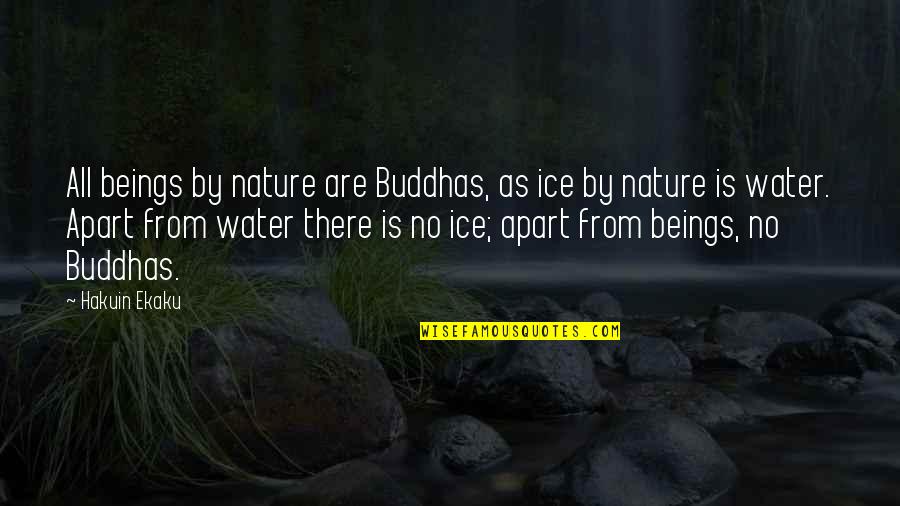 Nature Water Quotes By Hakuin Ekaku: All beings by nature are Buddhas, as ice Nature Water Quotes By Hakuin Ekaku: All beings by nature are Buddhas, as ice