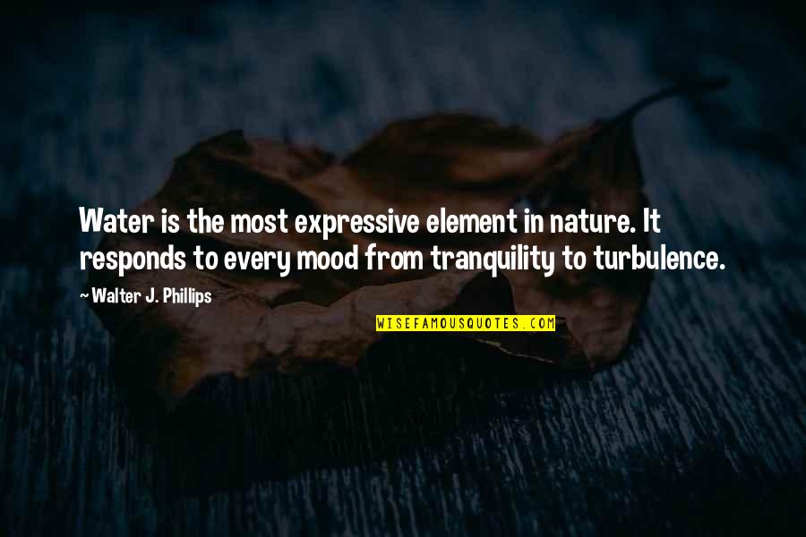 Nature Water Quotes By Walter J. Phillips: Water is the most expressive element in nature.