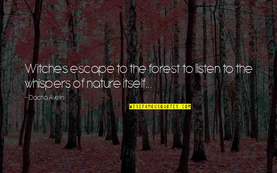 Nature Whispers Quotes By Dacha Avelin: Witches escape to the forest to listen to