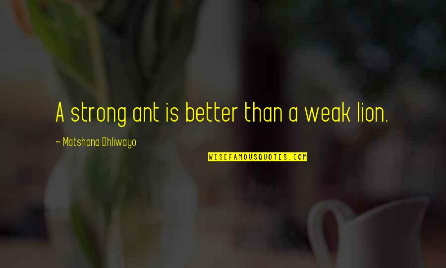 Nature Wise Quotes By Matshona Dhliwayo: A strong ant is better than a weak Nature Wise Quotes By Matshona Dhliwayo: A strong ant is better than a weak