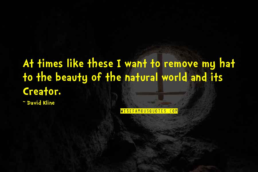 Nature's Beauty Quotes By David Kline: At times like these I want to remove