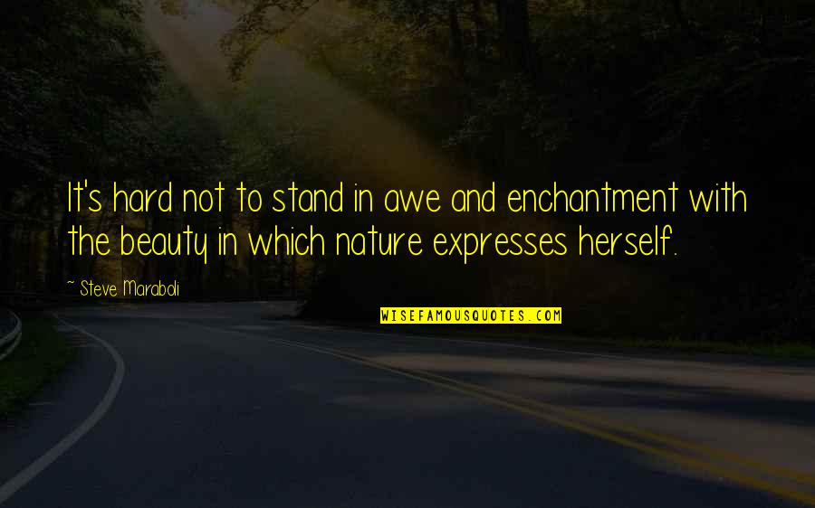 Nature's Beauty Quotes By Steve Maraboli: It's hard not to stand in awe and