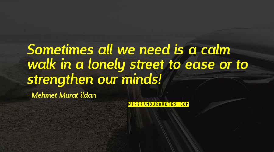 Naudio Quotes By Mehmet Murat Ildan: Sometimes all we need is a calm walk