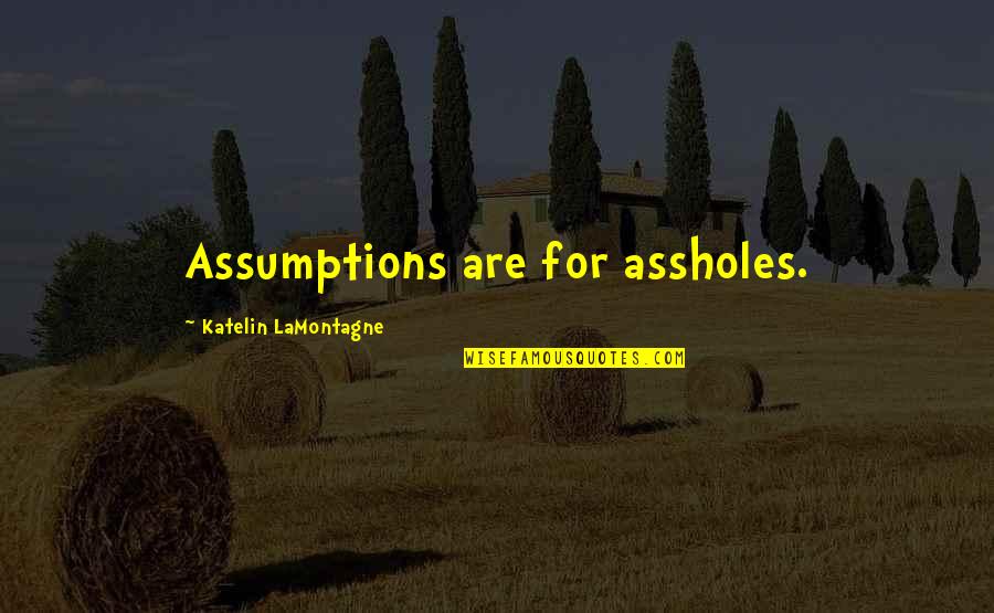 Naughty Sexting Quotes By Katelin LaMontagne: Assumptions are for assholes.