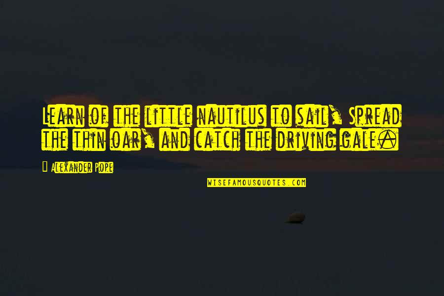 Nautilus Quotes By Alexander Pope: Learn of the little nautilus to sail, Spread