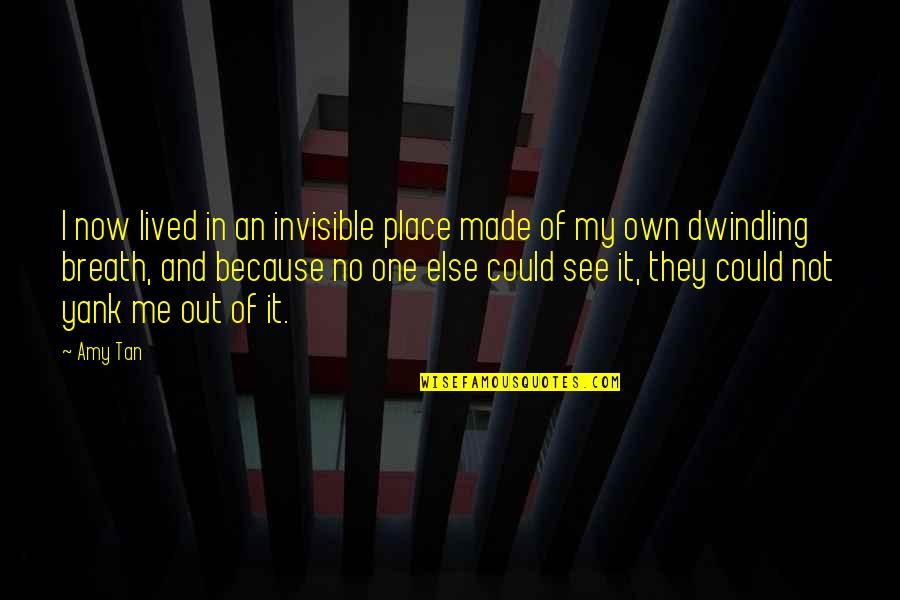 Naval History Quotes By Amy Tan: I now lived in an invisible place made Naval History Quotes By Amy Tan: I now lived in an invisible place made