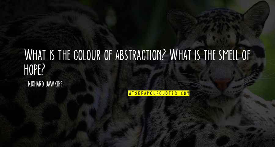 Navarra Map Quotes By Richard Dawkins: What is the colour of abstraction? What is