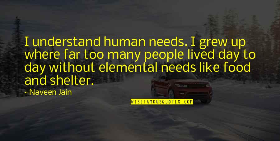 Naveen Quotes By Naveen Jain: I understand human needs. I grew up where