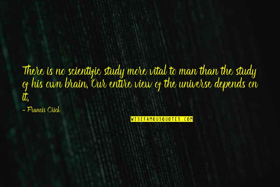 Navikan Inc Quotes By Francis Crick: There is no scientific study more vital to