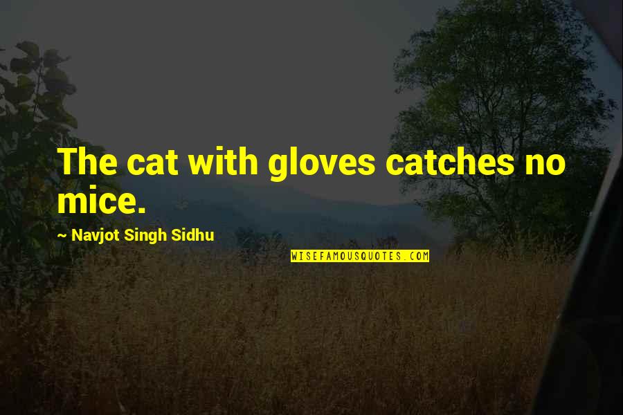 Navjot Sidhu Quotes By Navjot Singh Sidhu: The cat with gloves catches no mice.