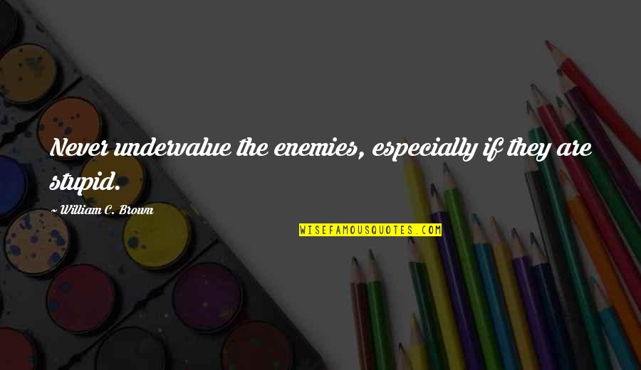 Navratil Brothers Quotes By William C. Brown: Never undervalue the enemies, especially if they are Navratil Brothers Quotes By William C. Brown: Never undervalue the enemies, especially if they are