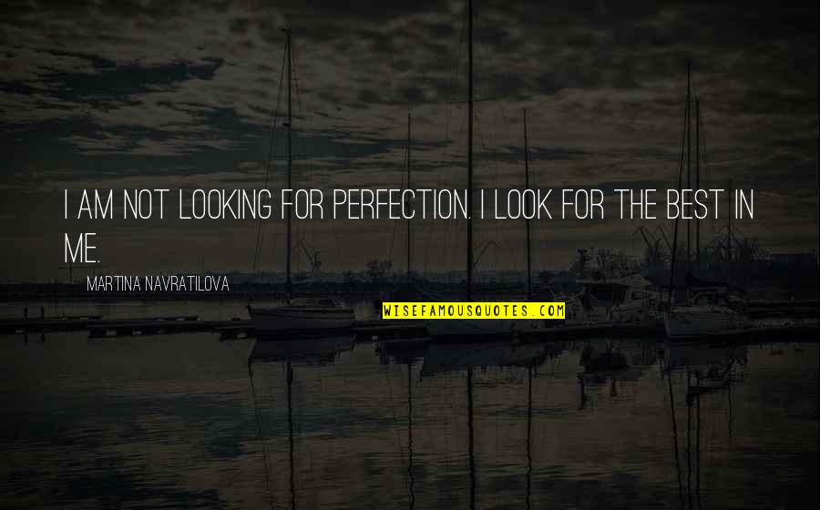 Navratilova Quotes By Martina Navratilova: I am not looking for perfection. I look Navratilova Quotes By Martina Navratilova: I am not looking for perfection. I look