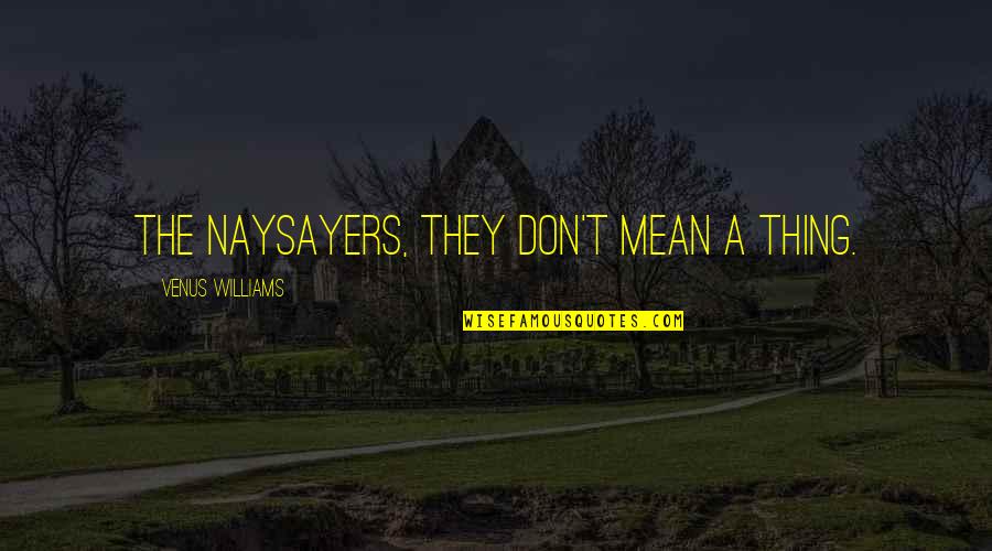 Naysayers Quotes By Venus Williams: The naysayers, they don't mean a thing.