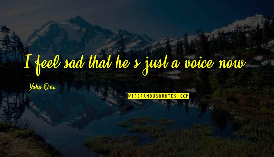 Nayyirah Waheed Salt Quotes By Yoko Ono: I feel sad that he's just a voice