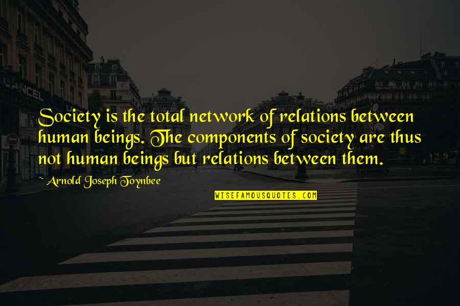 Nazim Richardson Quotes By Arnold Joseph Toynbee: Society is the total network of relations between