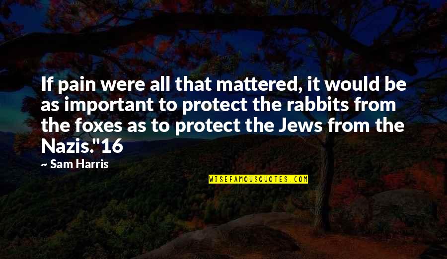 Nazis Jews Quotes By Sam Harris: If pain were all that mattered, it would