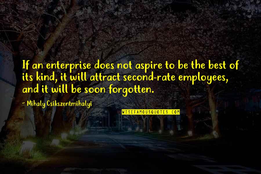 Nazivanje Quotes By Mihaly Csikszentmihalyi: If an enterprise does not aspire to be