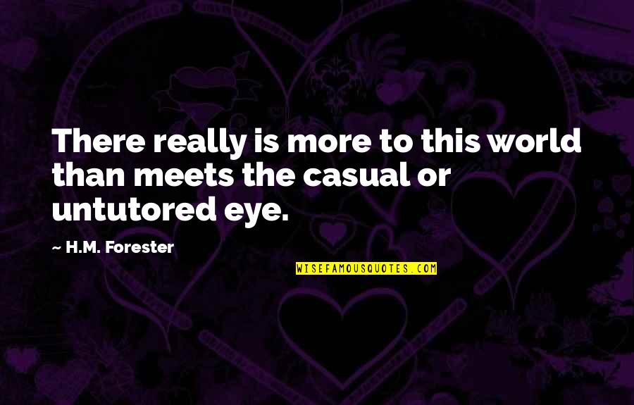 Naznin Jamal Md Quotes By H.M. Forester: There really is more to this world than
