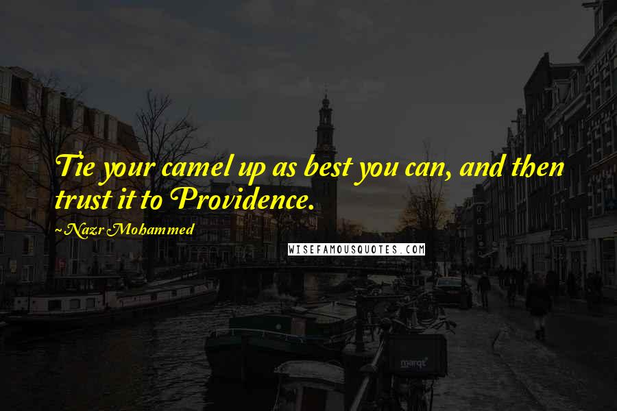 Nazr Mohammed quotes: Tie your camel up as best you can, and then trust it to Providence.